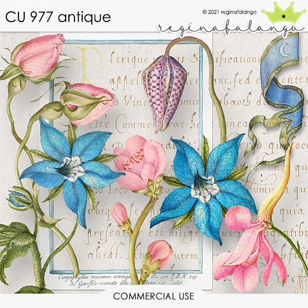 CU 977 ANTIQUE