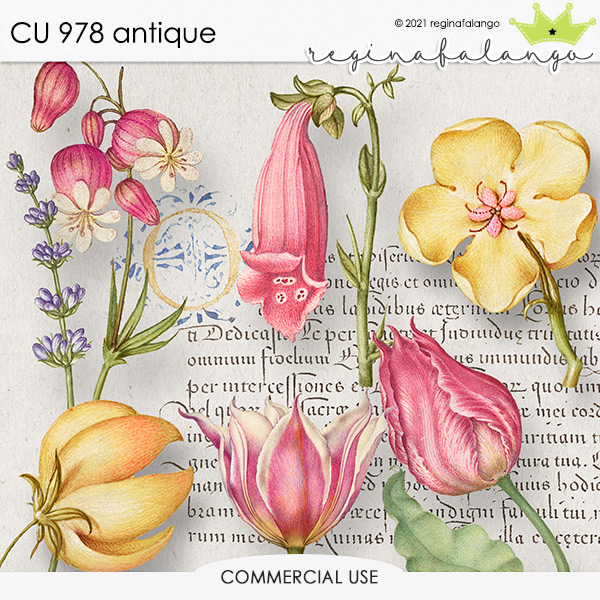 CU 978 ANTIQUE