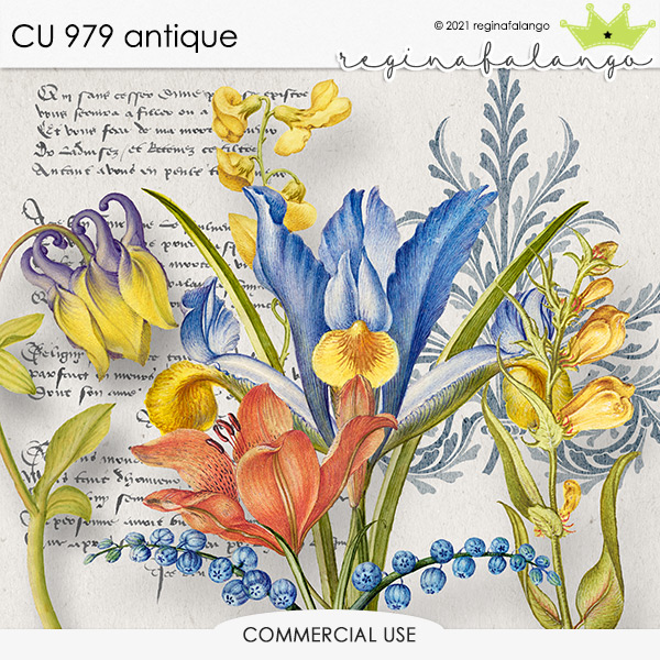 CU 979 ANTIQUE