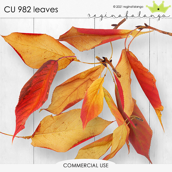 CU 982 LEAVES 