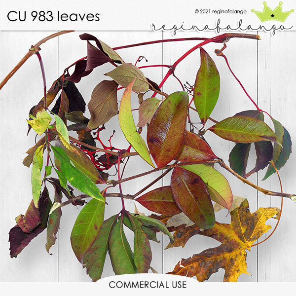 CU 983 LEAVES