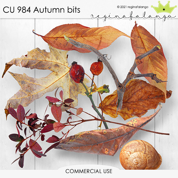 CU 984 AUTUMN BITS