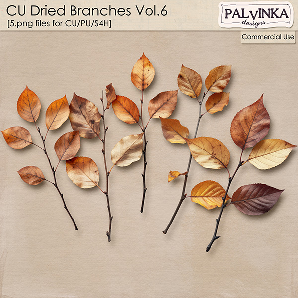 CU Dried Branches 6