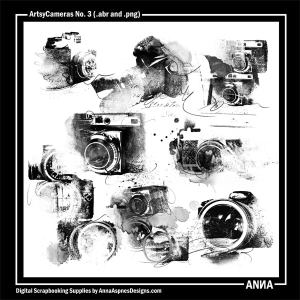 ArtsyCameras No 3