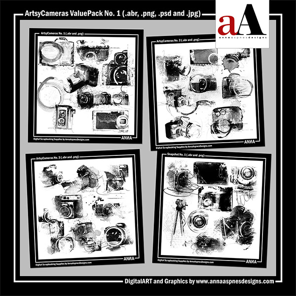 ArtsyCameras ValuePack No 1