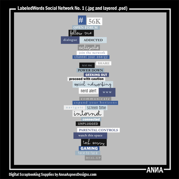LabeledWords Social Network No 1