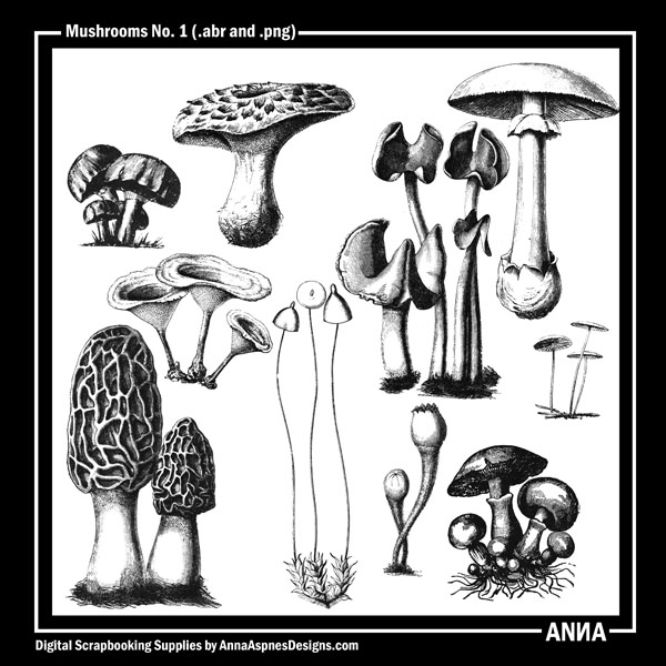 Mushrooms No 1
