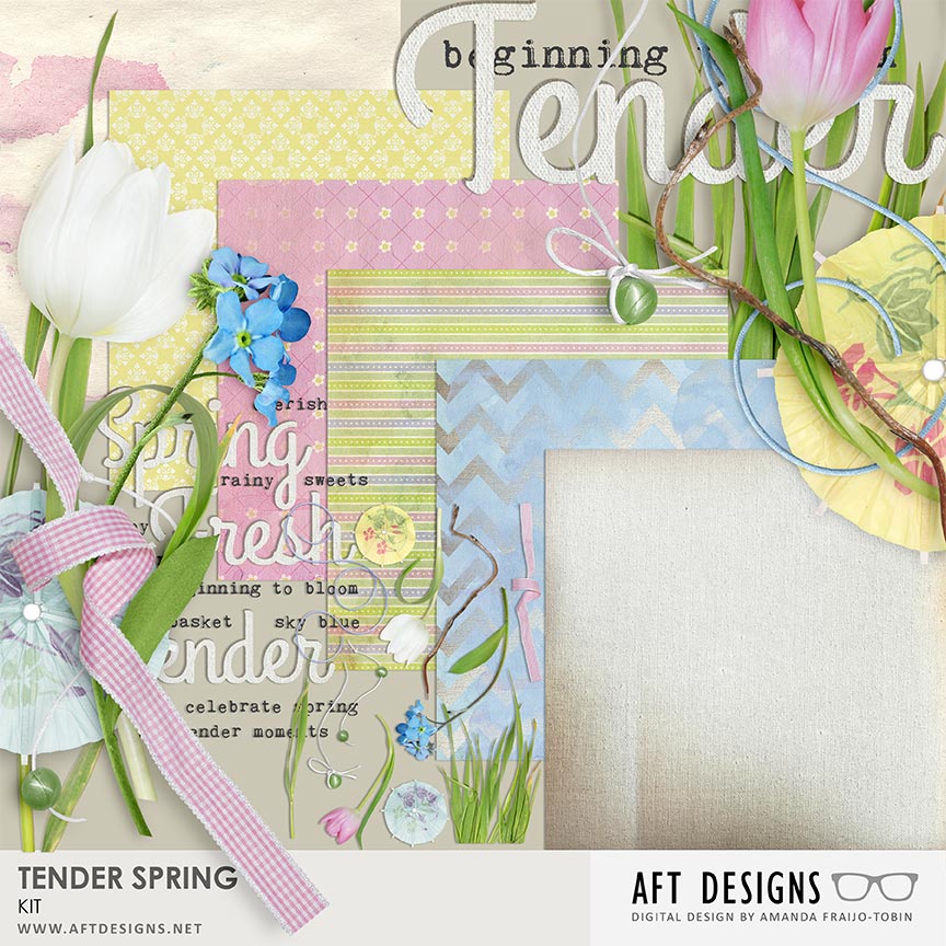 Tender Spring Kit