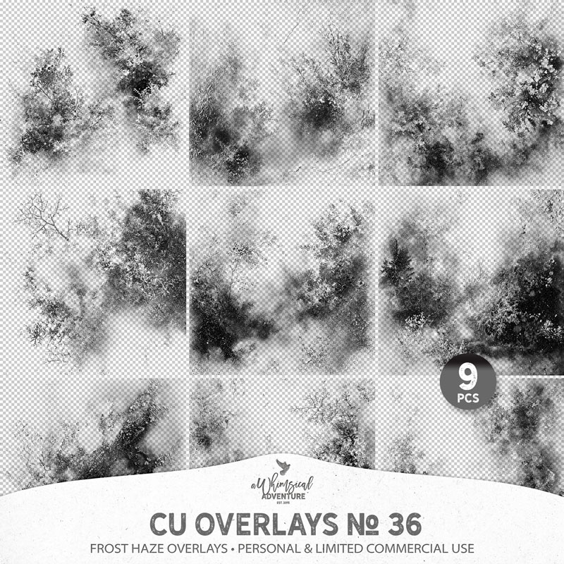CU Overlays No 37 Frost Filigree Overlays