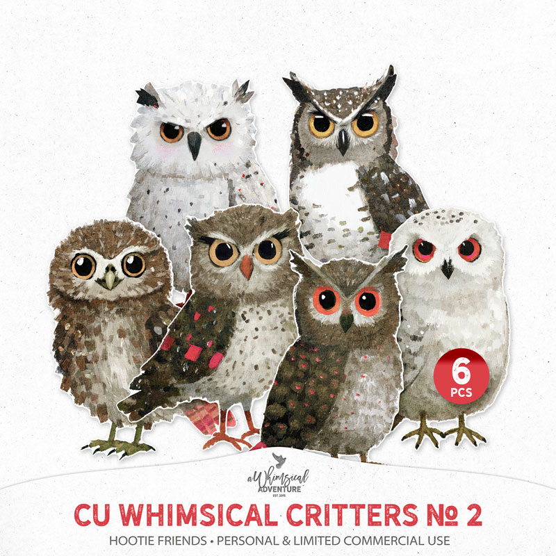 CU Whimsical Critters No 2 Hootie Friends