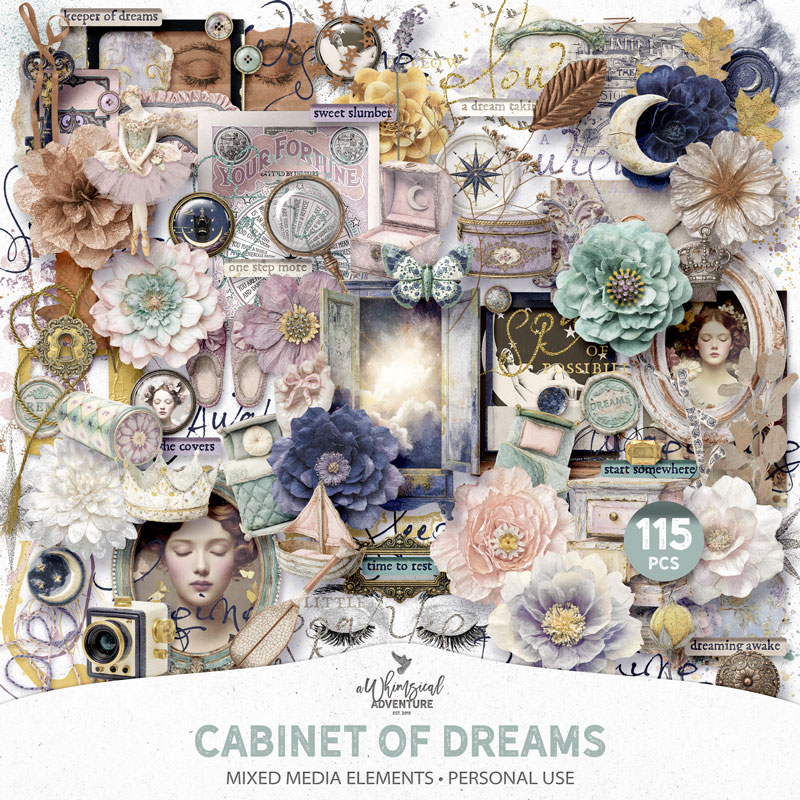 Cabinet Of Dreams Mixed Media Elements
