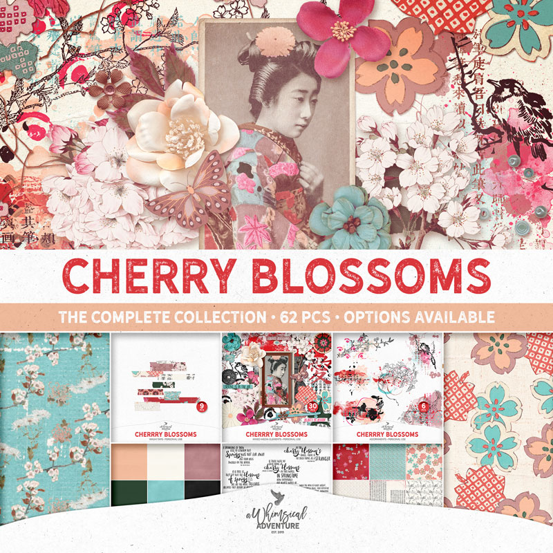 Cherry Blossoms