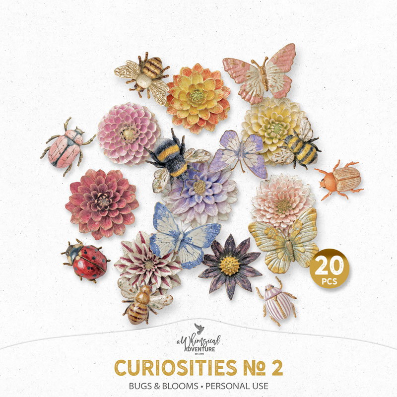 Curiosities No 2 Bugs And Blooms
