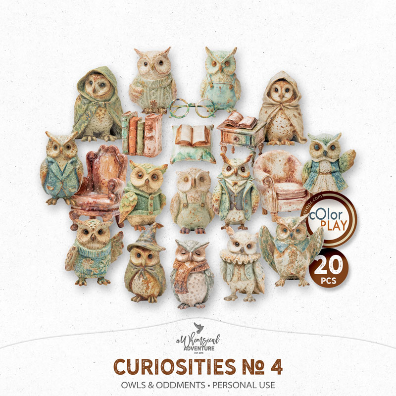 Curiosities No 4 Owls And Oddments