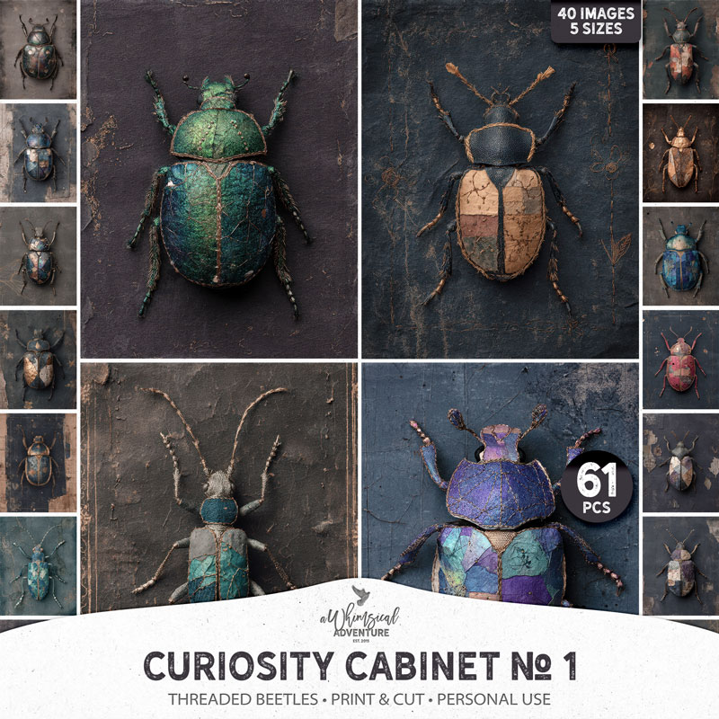 Curiosity Cabinet No 1 Threaded Beetles