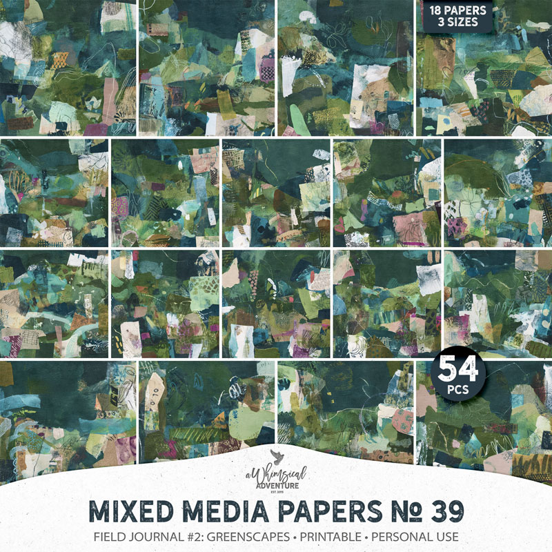 Mixed Media Papers No 39 Field Journal 2