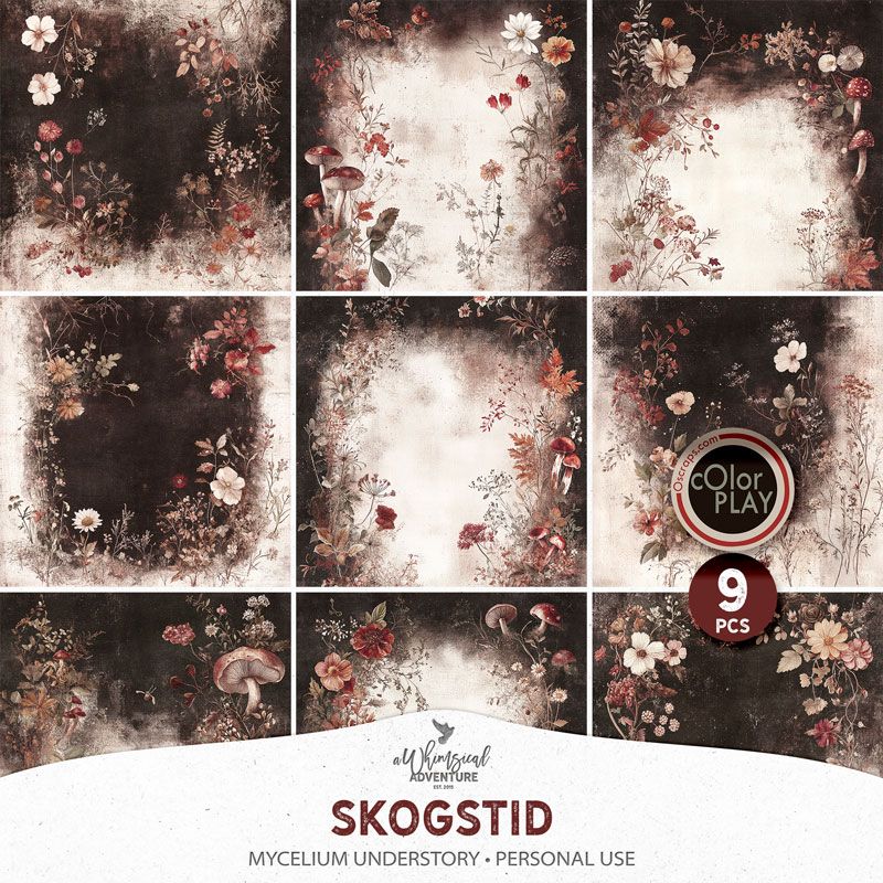 Skogstid Mycelium Understory