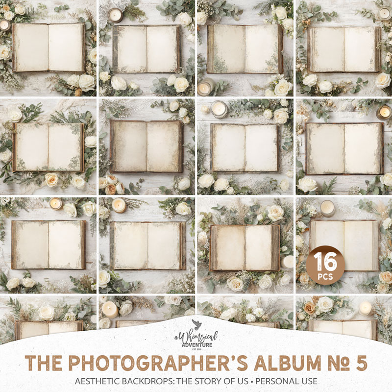 The Photographer's Album No 5 The Story Of Us