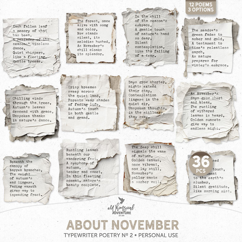 Typewriter Poetry No 2 About November