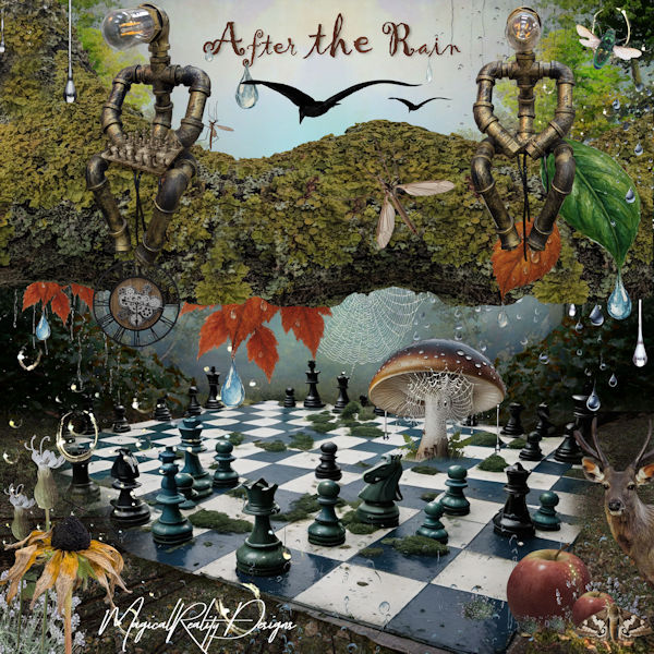 After The Rain by MagicalReality Designs