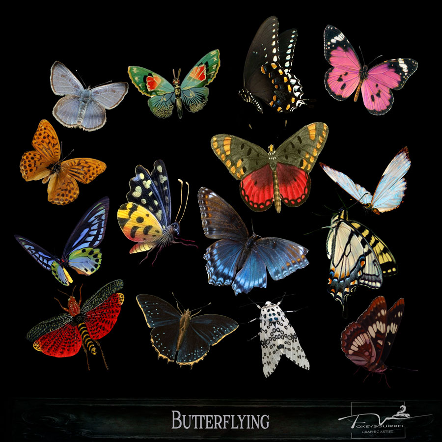 Butterflying