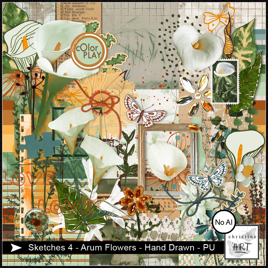 Sketches 4 Arum Flowers hand drawn by Christine Art