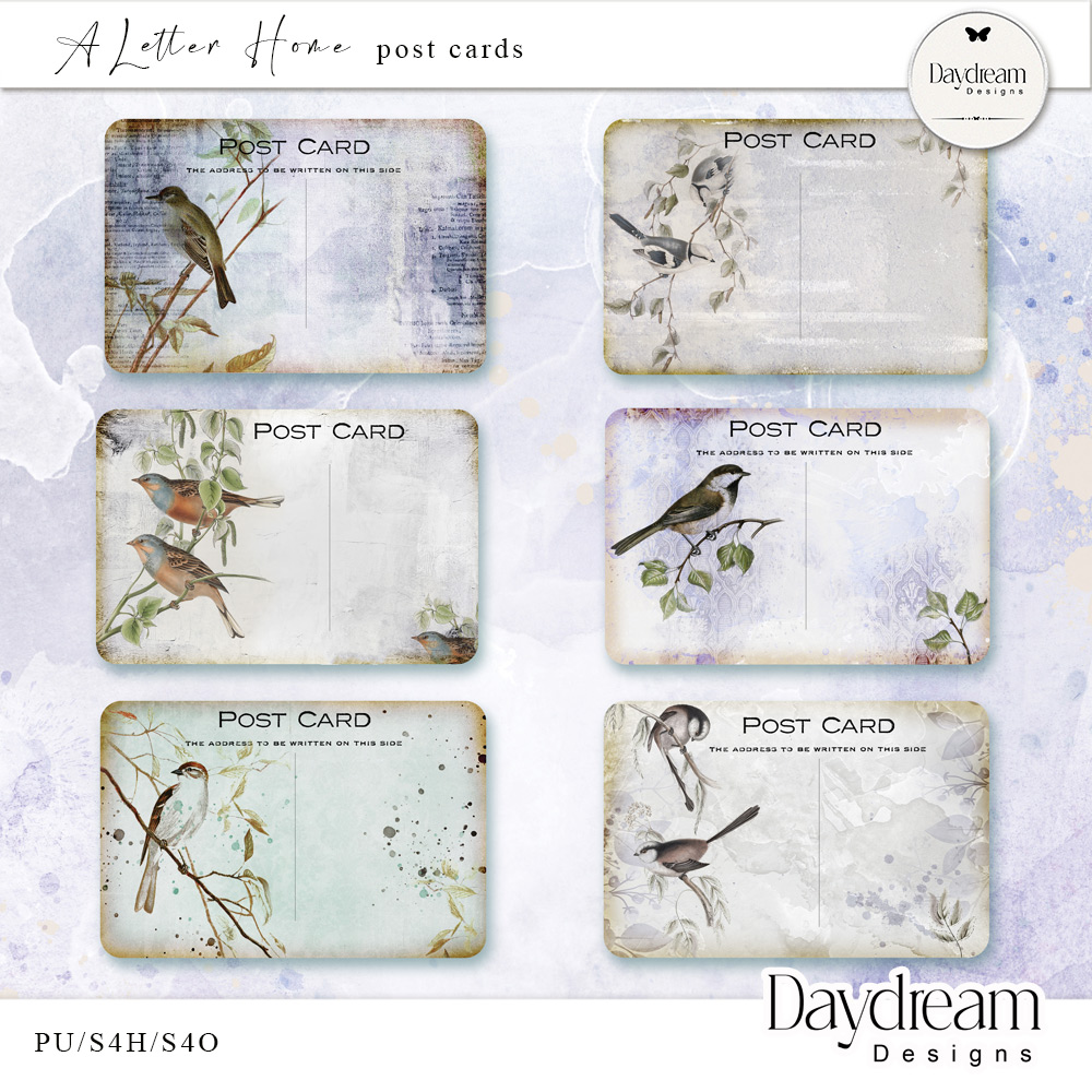 A Letter Home Postcards by Daydream Designs