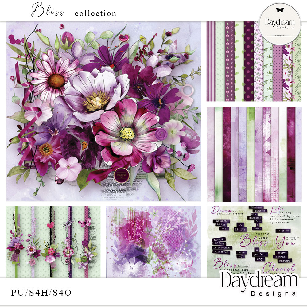 Bliss Collection by Daydream Designs  