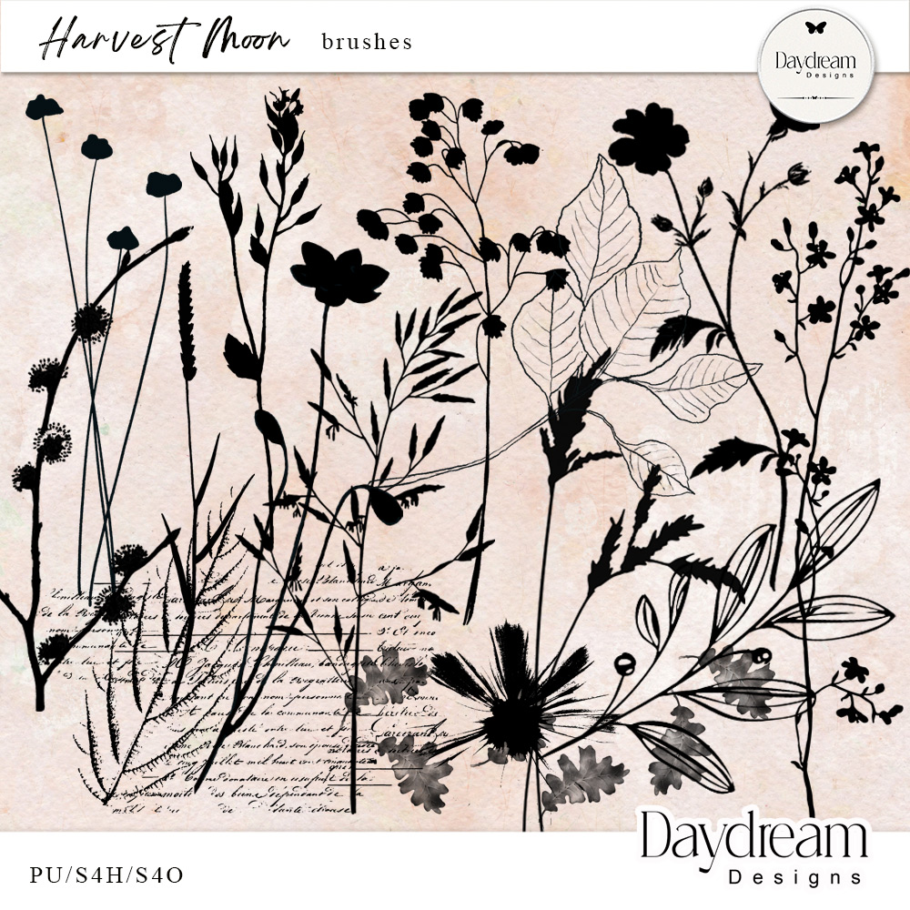 Harvest Moon Stamp Brushes by Daydream Designs   