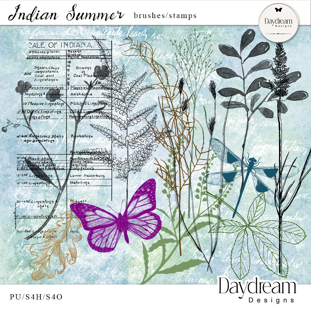 Indian Summer Brushes and Stamps by Daydream Designs  
