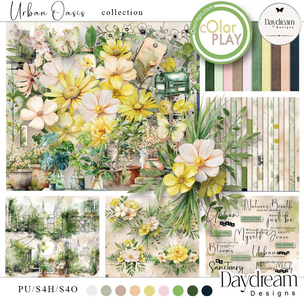 Urban Oasis Collection by Daydream Designs      