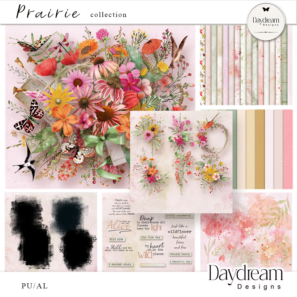 Prairie Collection by Daydream Designs