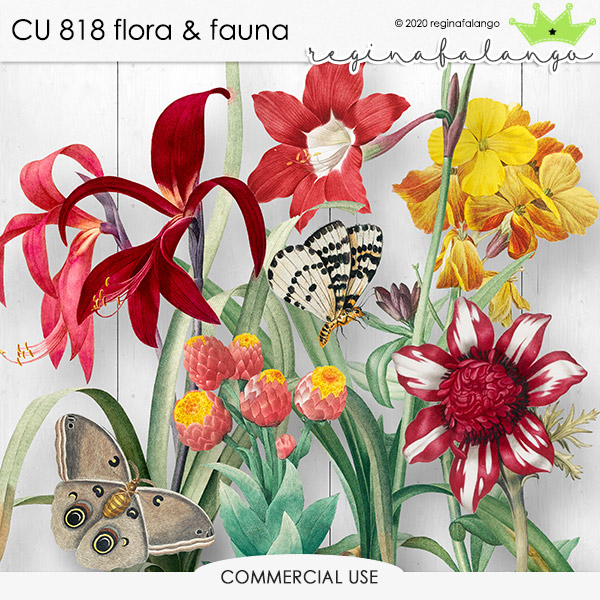 CU 818 FLORA & FAUNA 