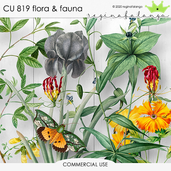 CU 819 FLORA & FAUNA