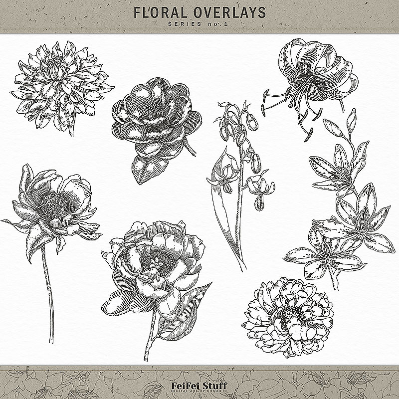 Floral Overlays No.1 by FeiFei Stuff