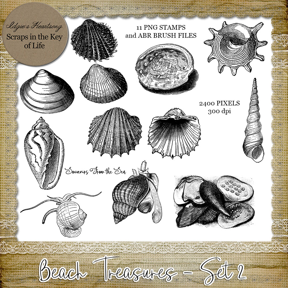 Beach Treasures - Set 2 - 11 CU/PU PNG Stamps and ABR Brushes by Idgie's Heartsong