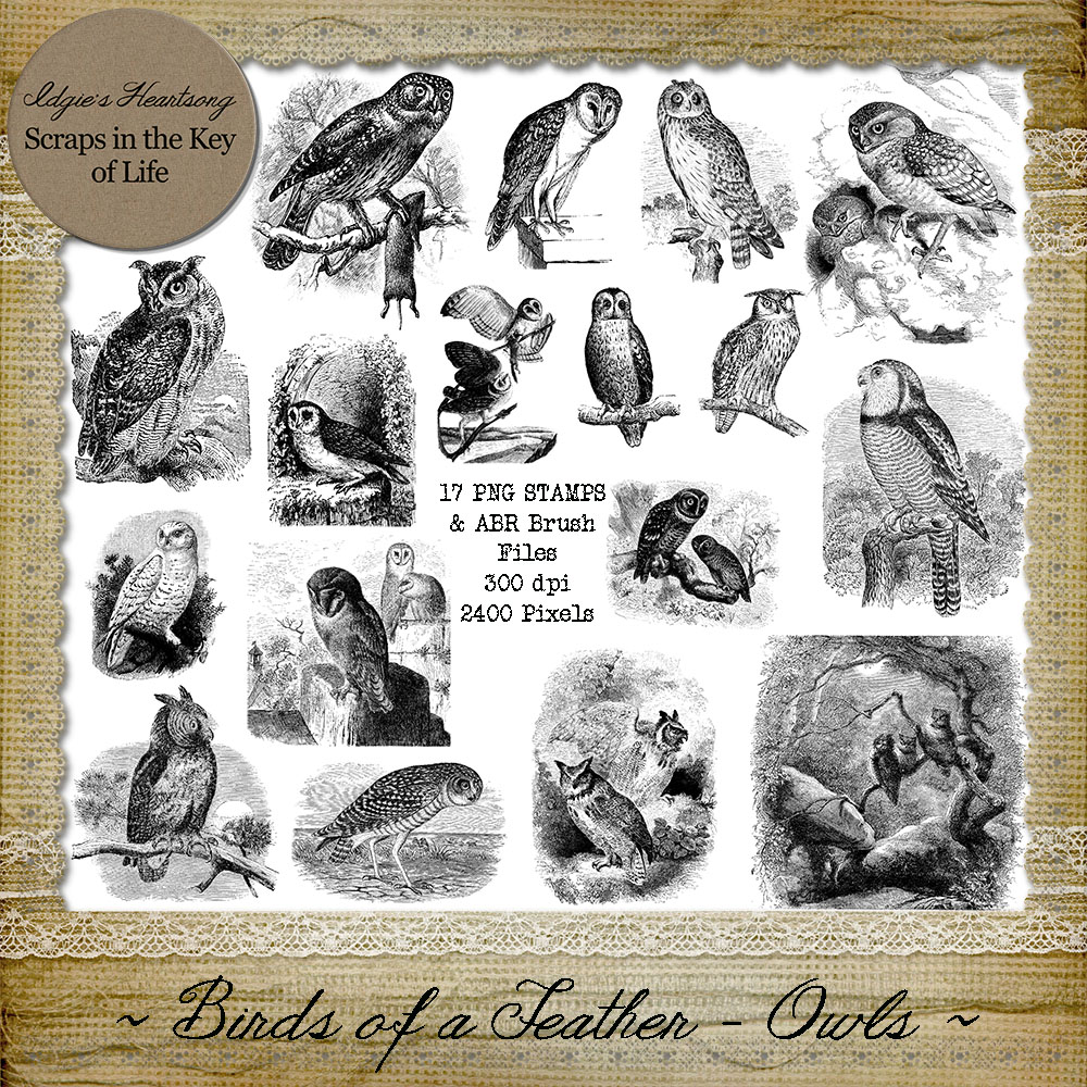 Birds of a Feather - OWLS - 17 PNG Stamps and ABR Brush Files by Idgie's Heartsong