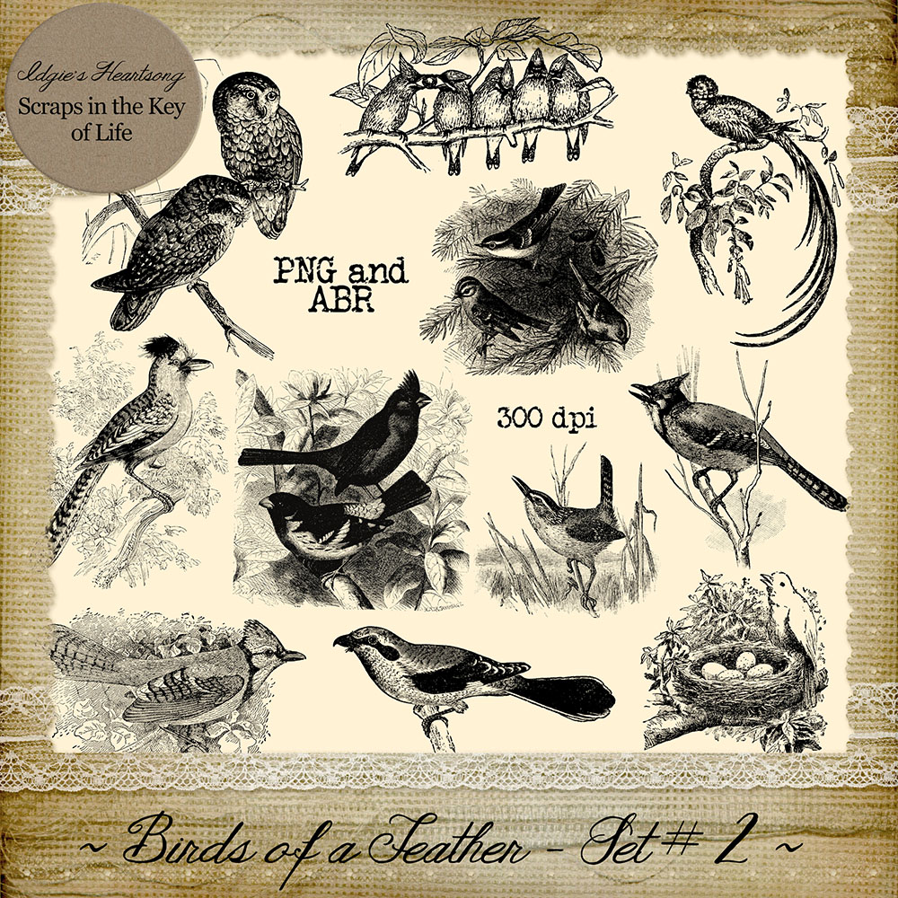Birds of a Feather - Set 2 by Idgie's Heartsong
