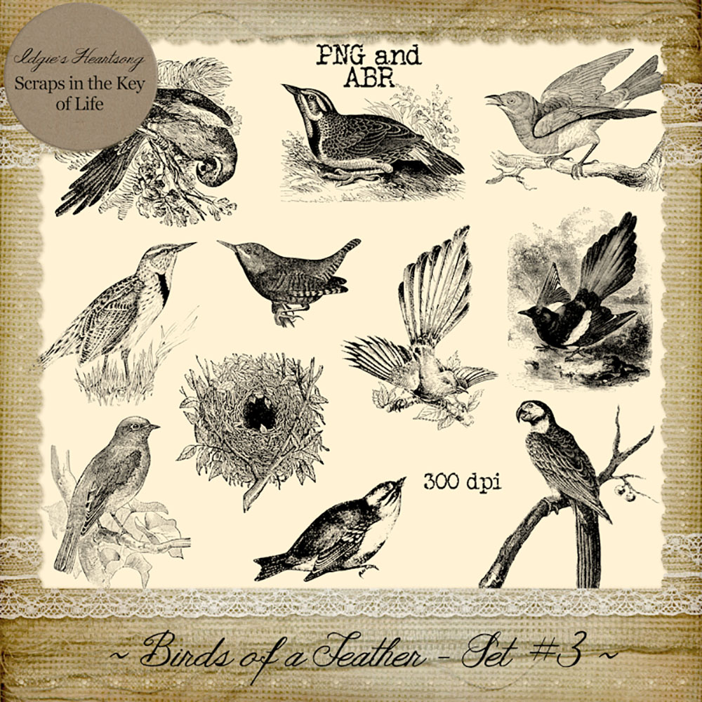 Birds of a Feather - Set 3 by Idgie's Heartsong