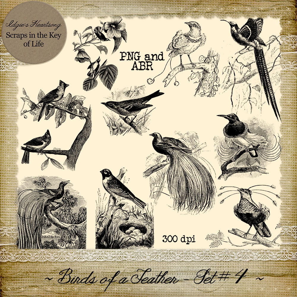 Birds of a Feather - Set 4 by Idgie's Heartsong