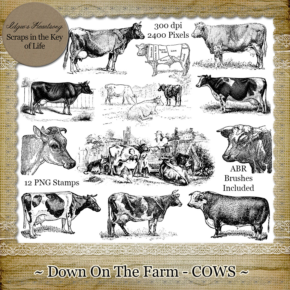 Down On The Farm - COWS - 12 PNG Stamps and ABR Brush Files by Idgie's Heartsong