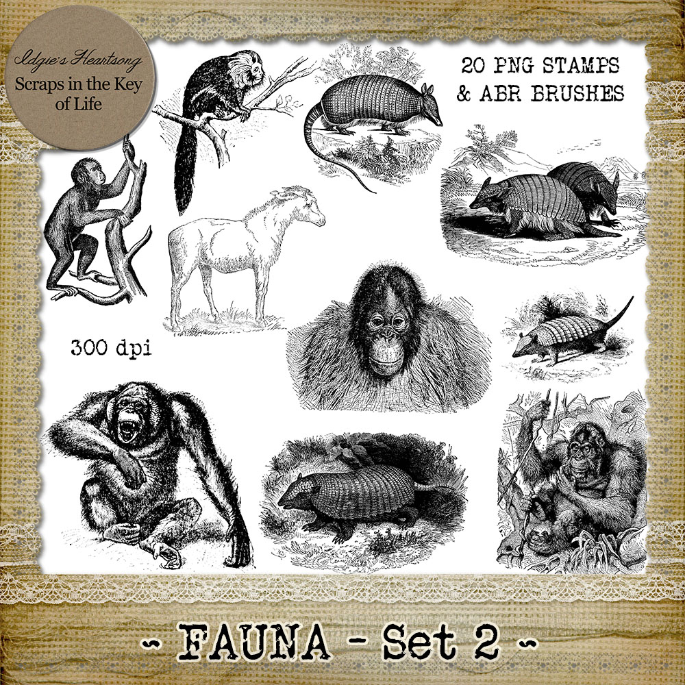 FAUNA - Set 2 - 20 Vintage PNG Stamps and Brushes by Idgie's Heartsong