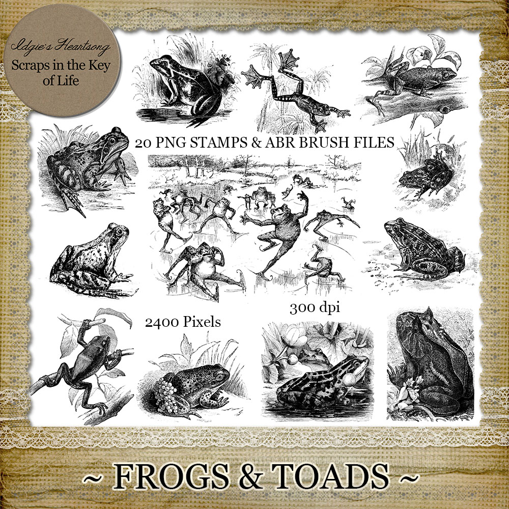 FROGS and TOADS - 20 Vintage PNG Stamps and Brushes by Idgie's Heartsong