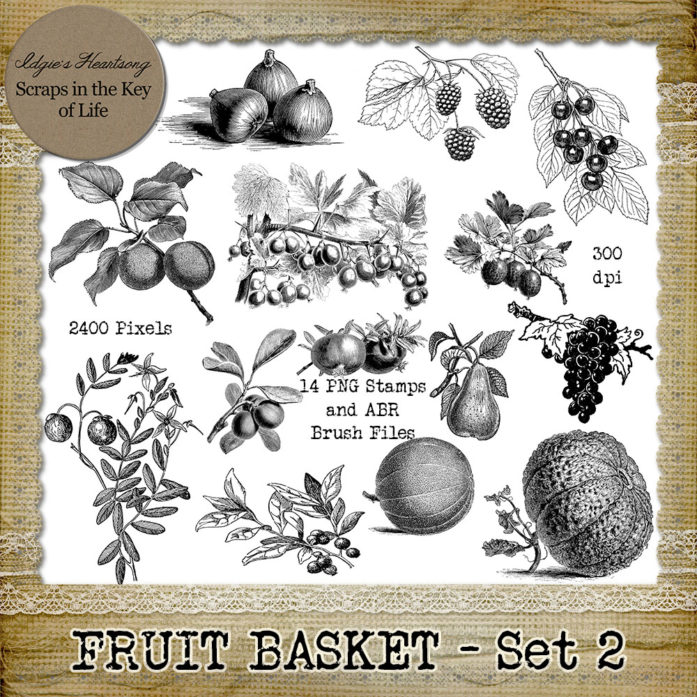FRUIT BASKET - Set 2 - 14 PNG Stamps and ABR Brush Files by Idgie's Heartsong