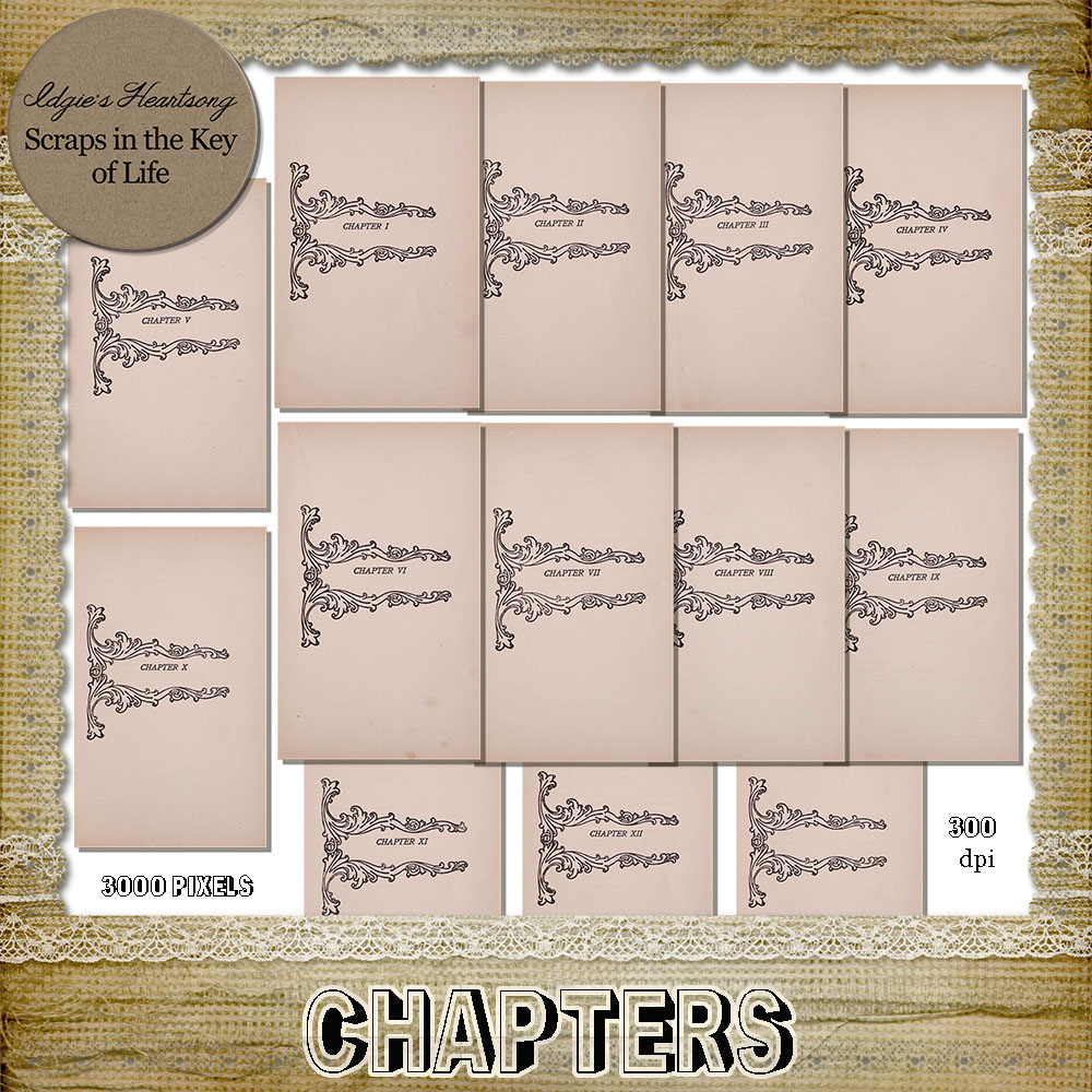 CHAPTERS - 13 PNG Journaling Pages by Idgie's Heartsong