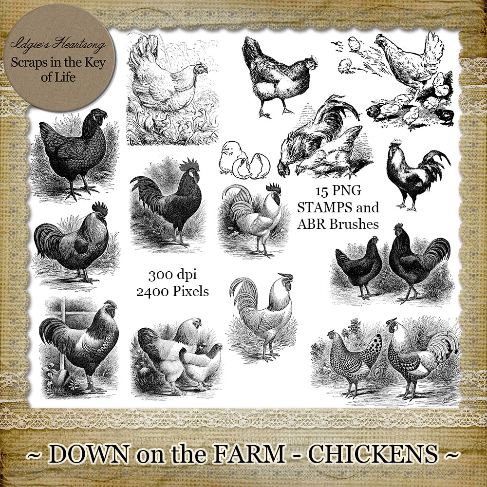 Down On The Farm - CHICKENS - 15 PNG Stamps and ABR Brushes by Idgie's Heartsong