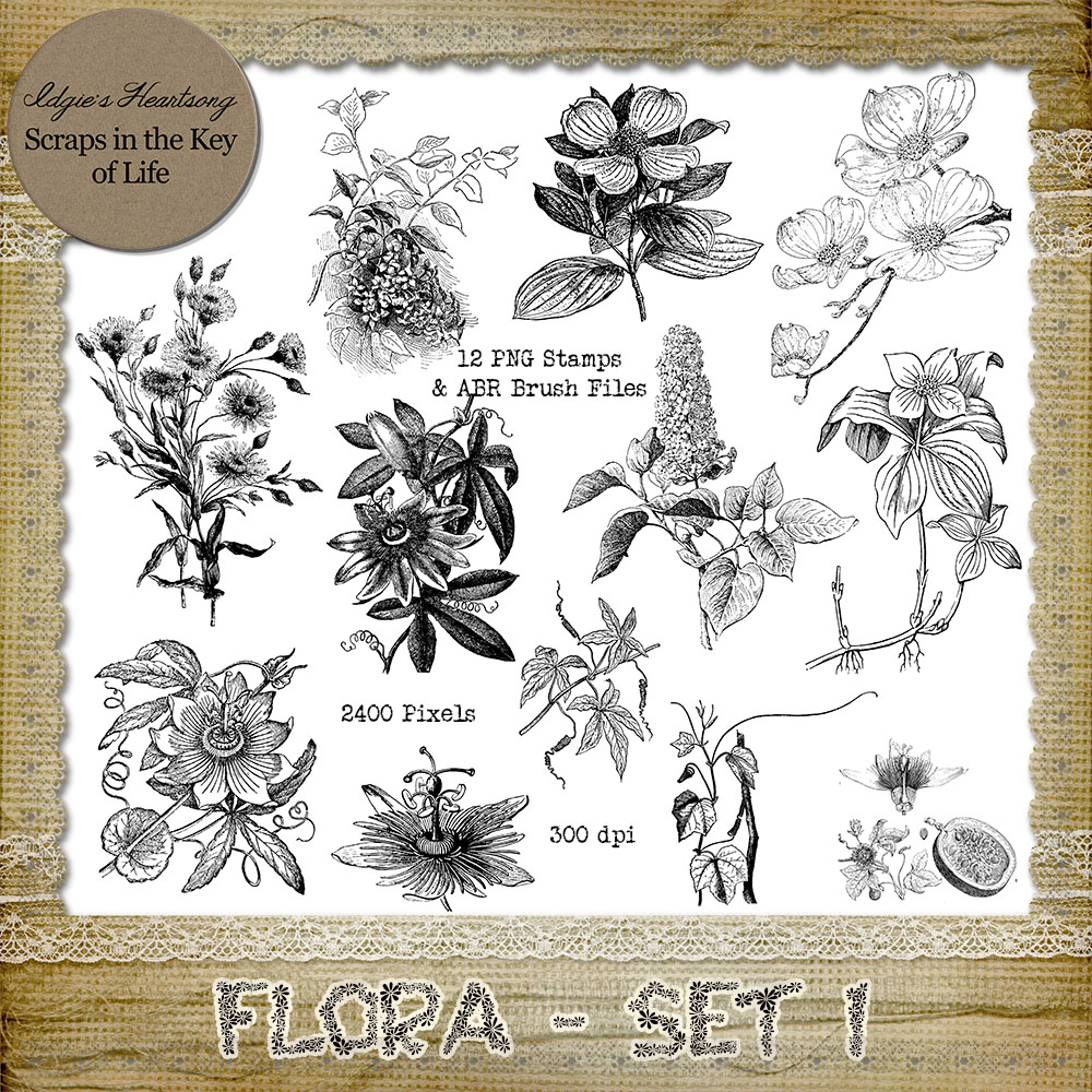 FLORA - Set 1 - 12 PNG Stamps and ABR Brush Files