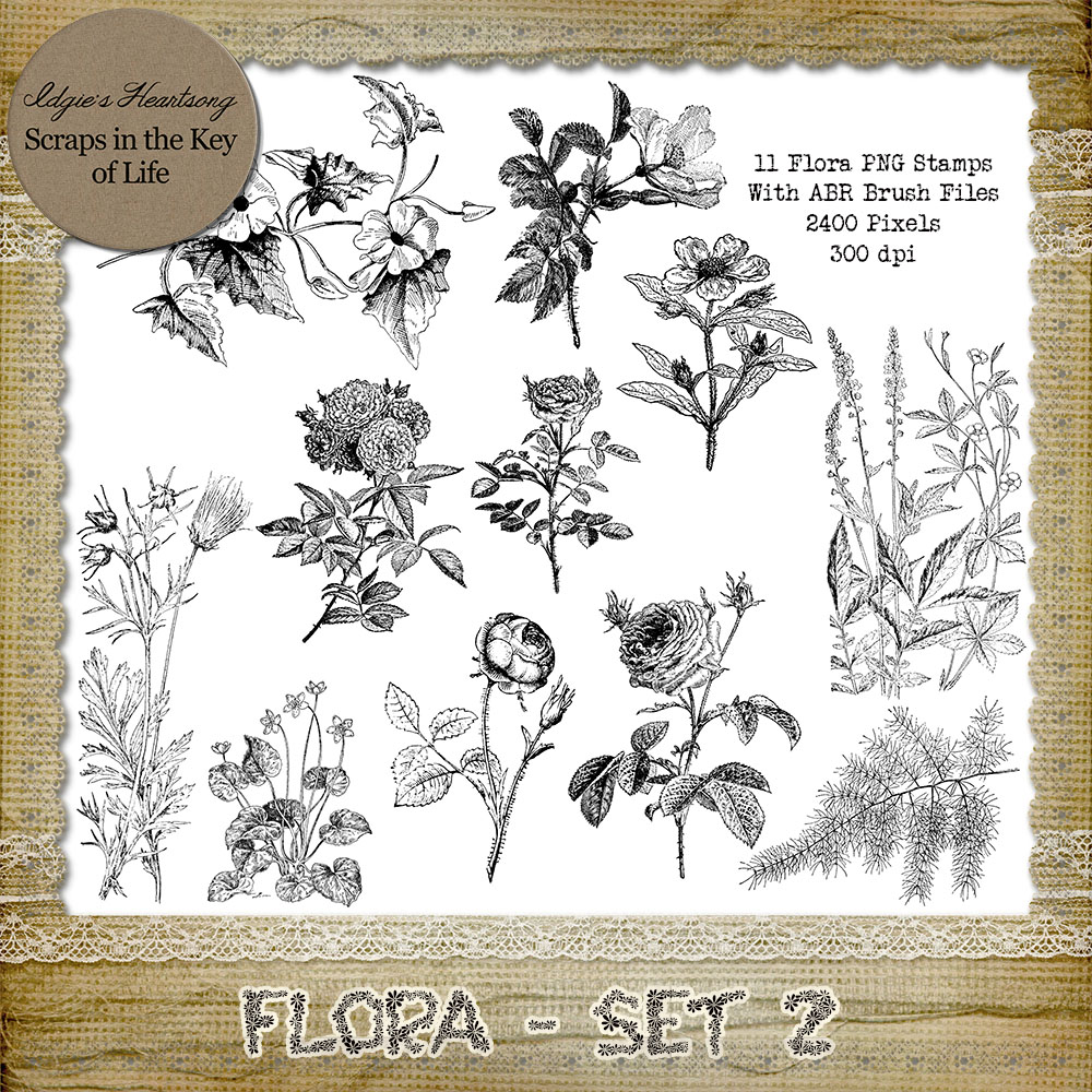 FLORA - Set 2 - 11 PNG Stamps and ABR Brush Files by Idgie's Heartsong