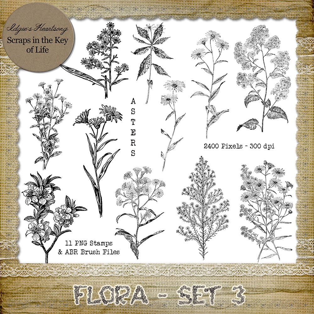 FLORA - Set 3 - 11 PNG Stamps and ABR Brush Files