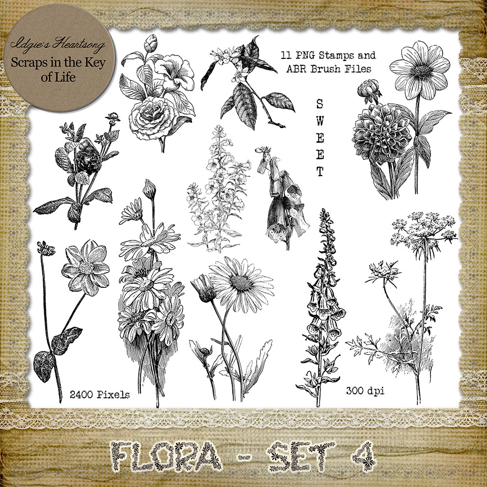 FLORA - Set 4 - 11 PNG Stamps and ABR Brush Files by Idgie's Heartsong